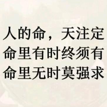牛🐮