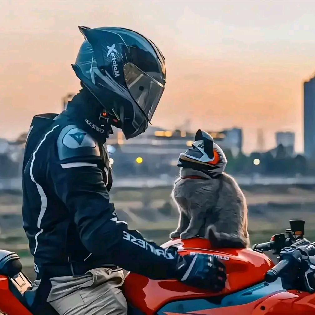 慕凡