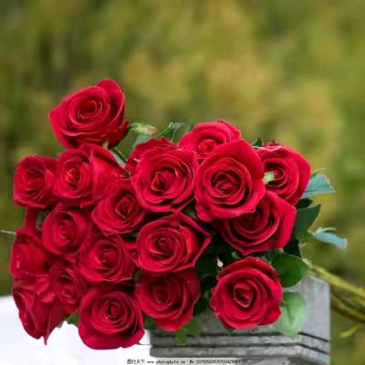 感恩遇见，70后