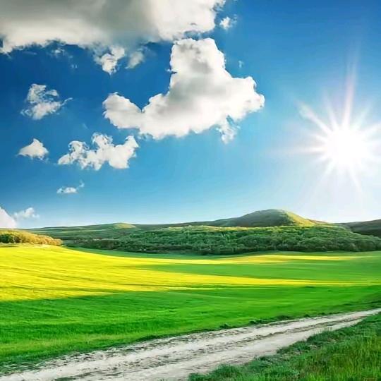 篮球老兵李(喜丙火)