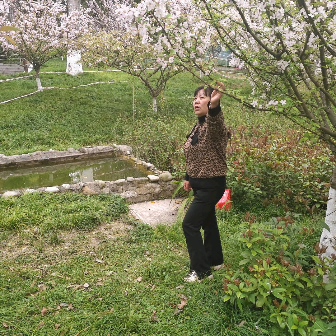 容姐