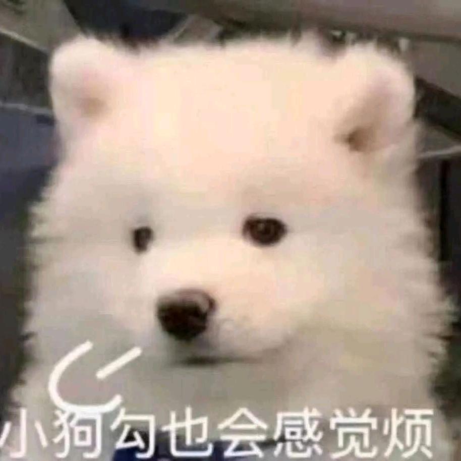 云巷