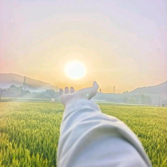 太阳光
