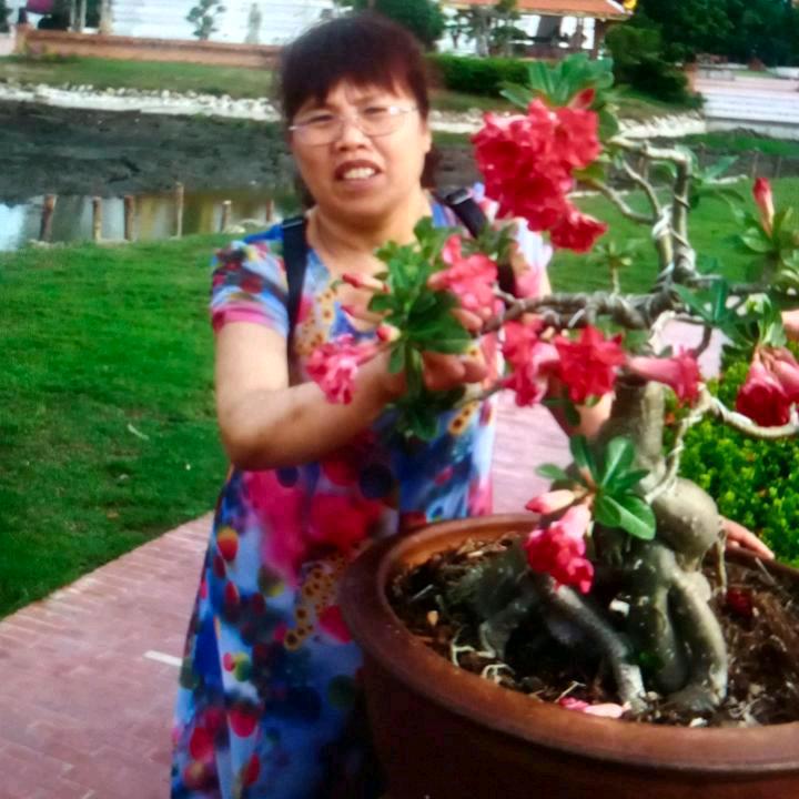 赵如萍