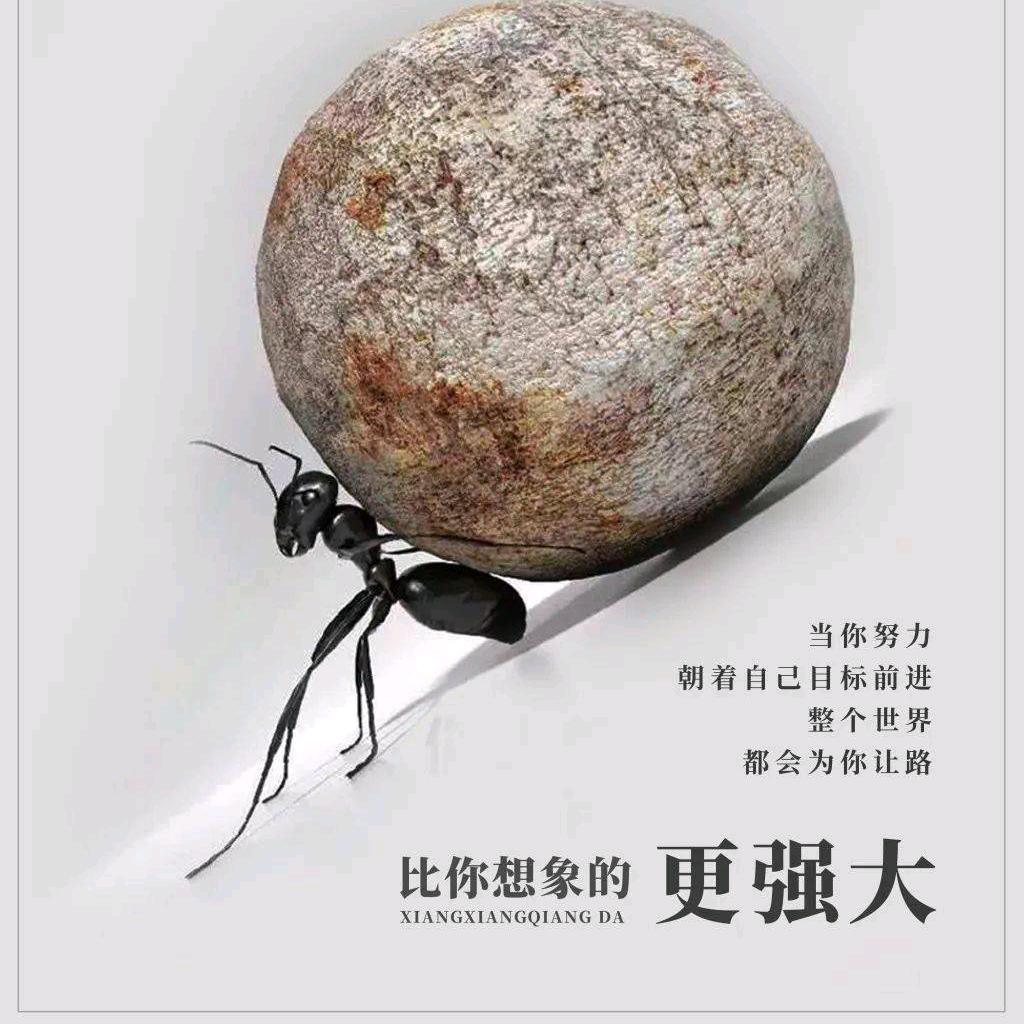 晋江王教练（云贵川渝）