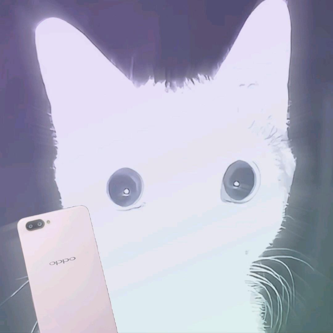 Tsuki51