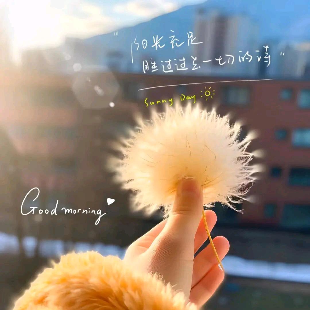 এ᭄云畔雾隐花࿐