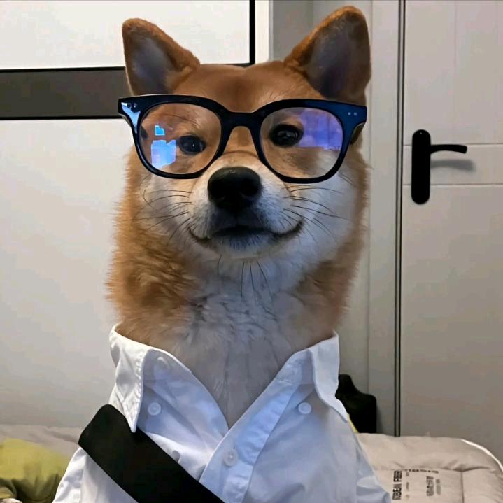 驰恩