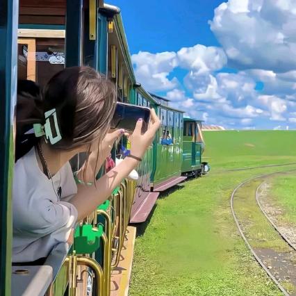 .            丑八怪🤡