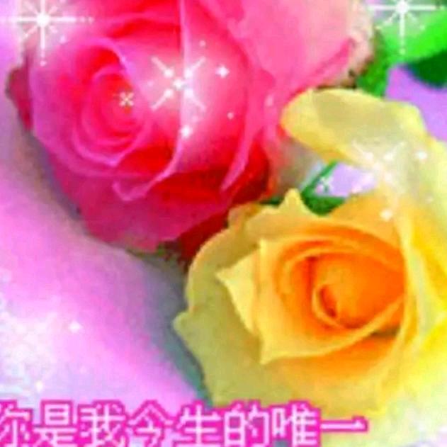 水中莲花
