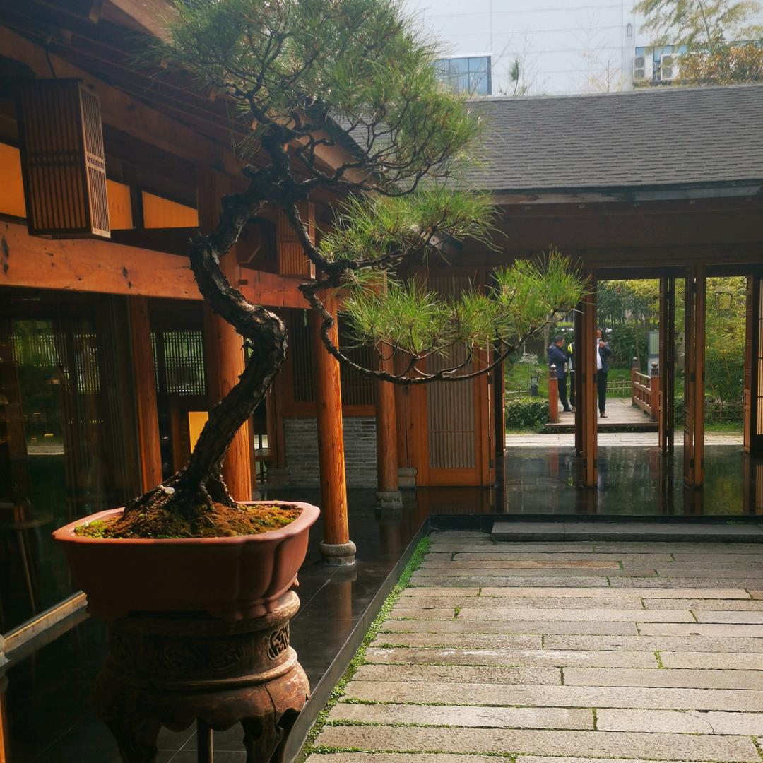 湖南中济新能源二手汽车