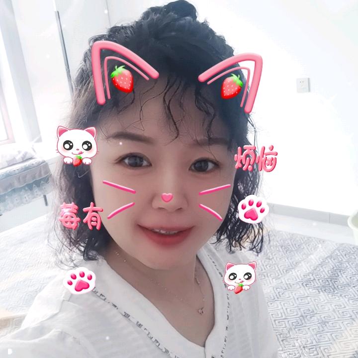 佳佳文文520