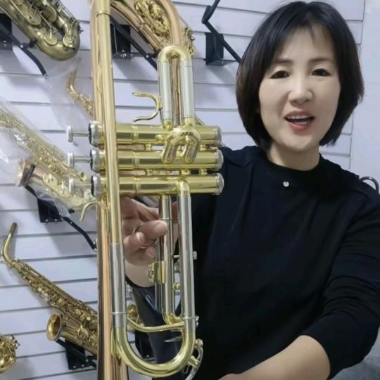 琳轩乐器