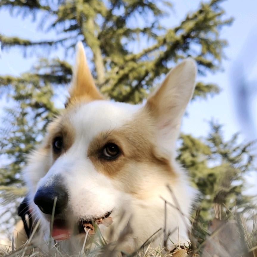 森州商贸-余丢丢