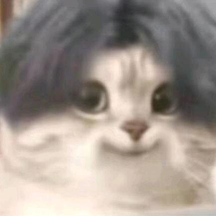 随意