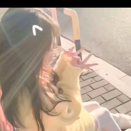 小奶酪