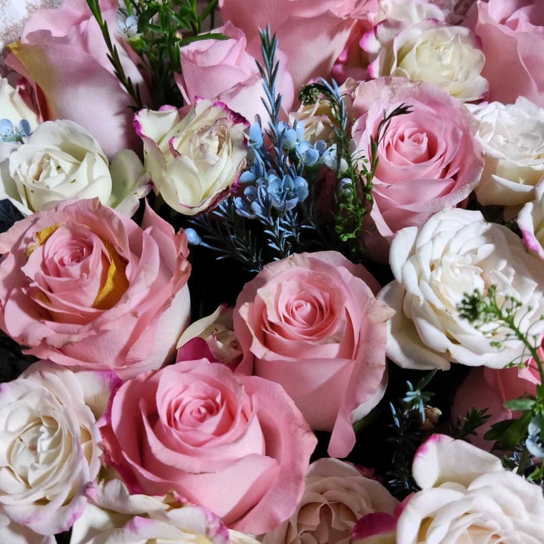 花开富贵🌷平安顺遂