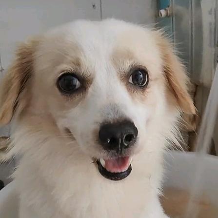 ୧⍤⃝🉑不被上帝🔹眷顾的孩子☄️