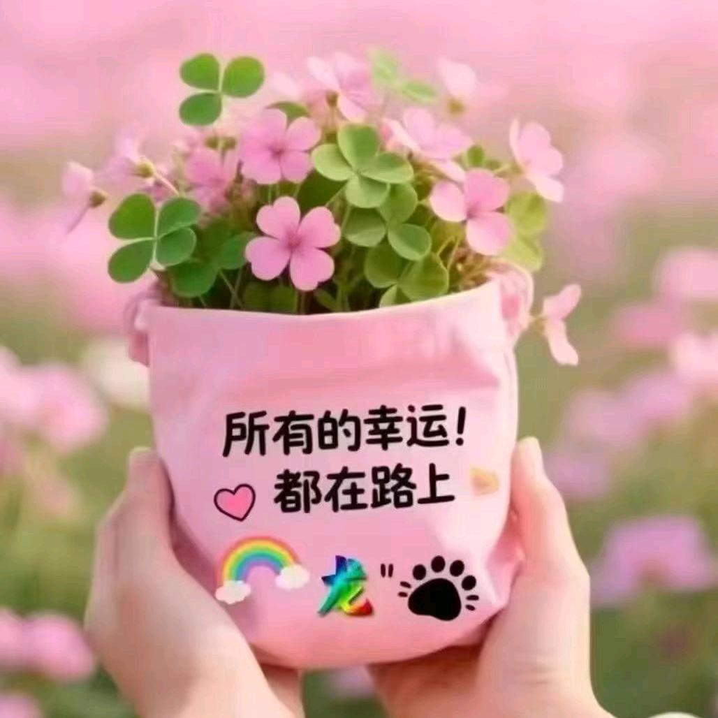 暖阳　₊ ⊹❀