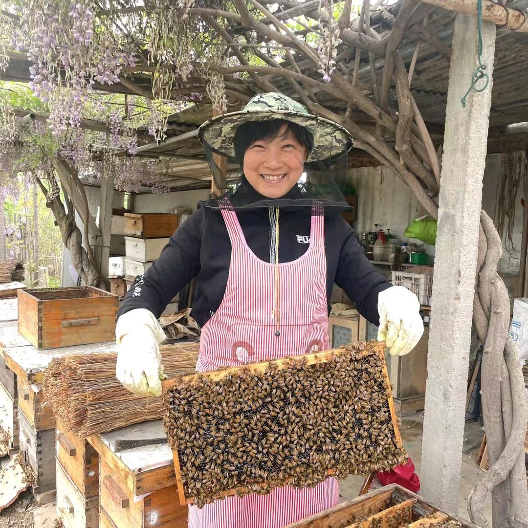 蜂痴燕芝