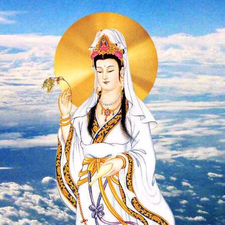河南果巢商贸有限公司