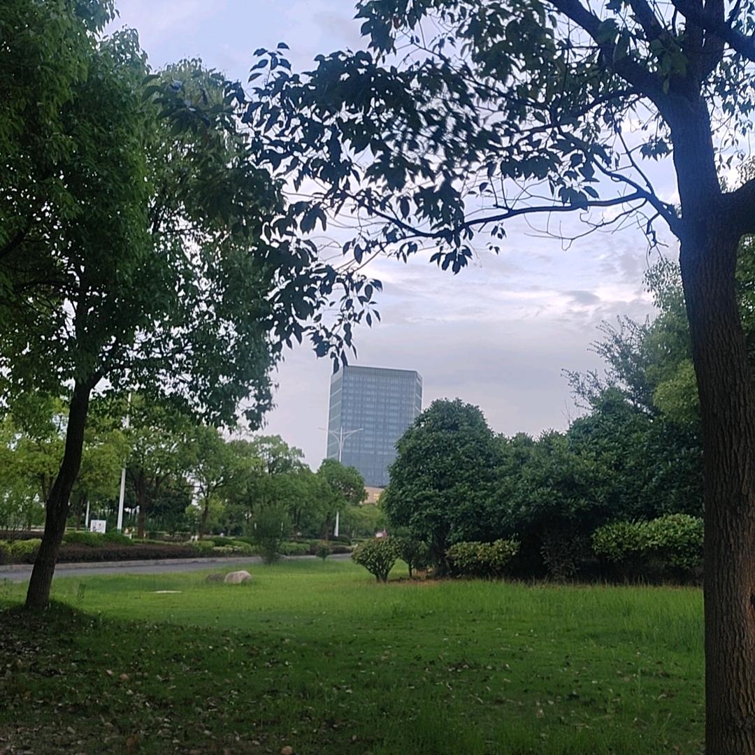 无心浅忘（请勿连赞）