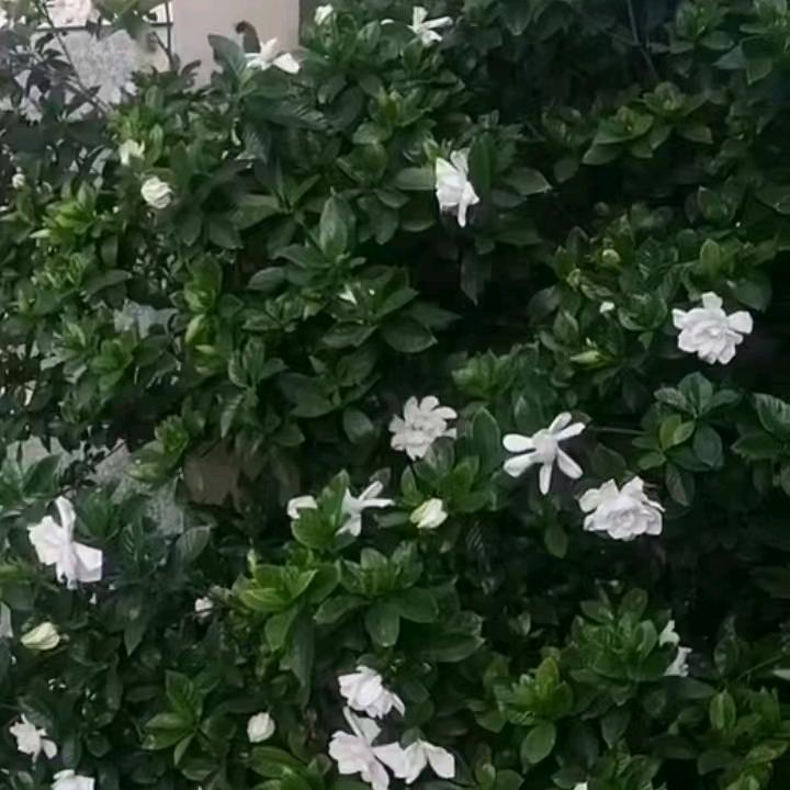 开心美一天