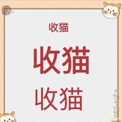 雷哥专业收猫