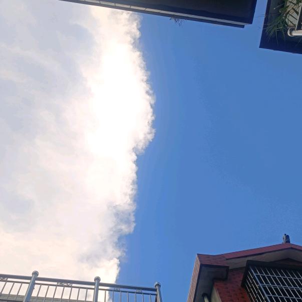 孤北