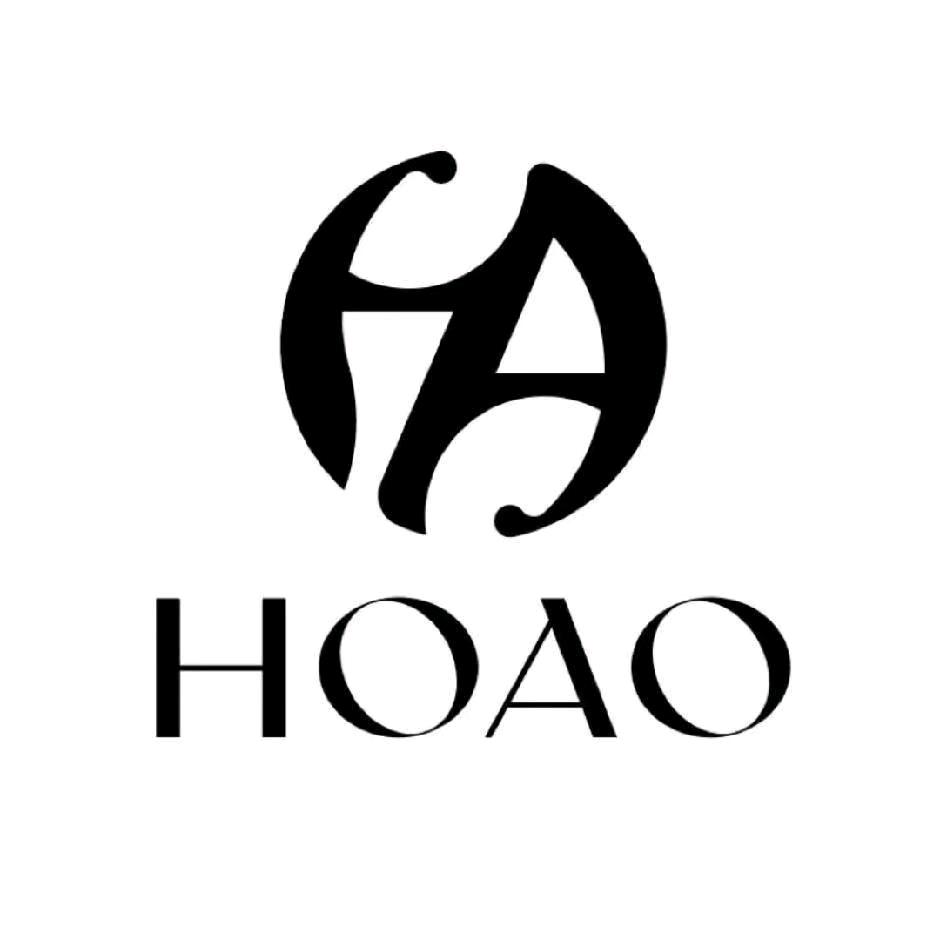 公元三层HOAO