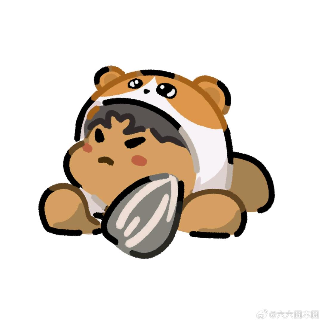 小白在哪里