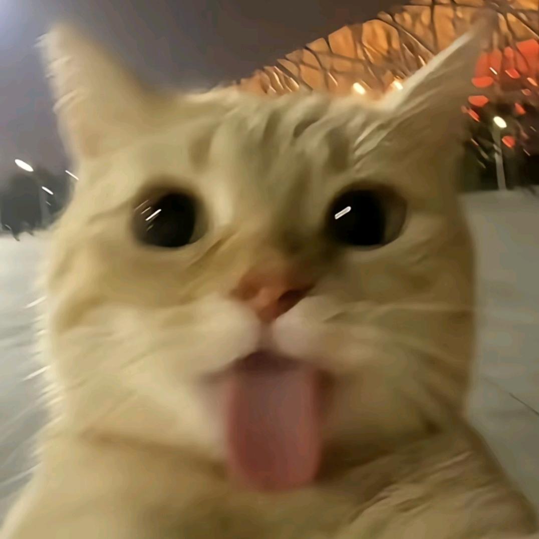 珏南