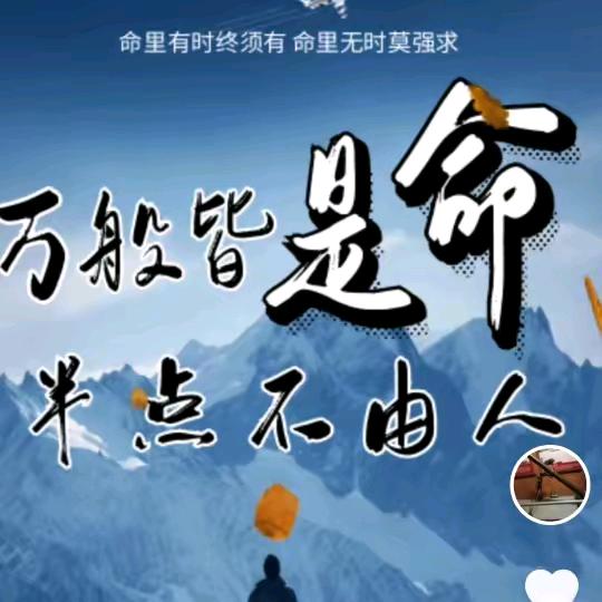 羽翼