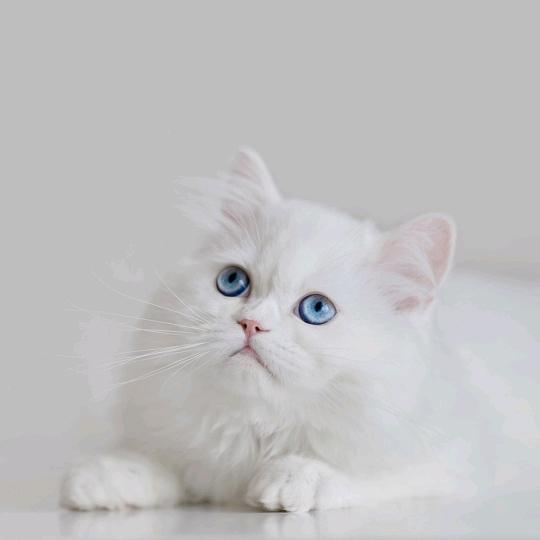 都好好的