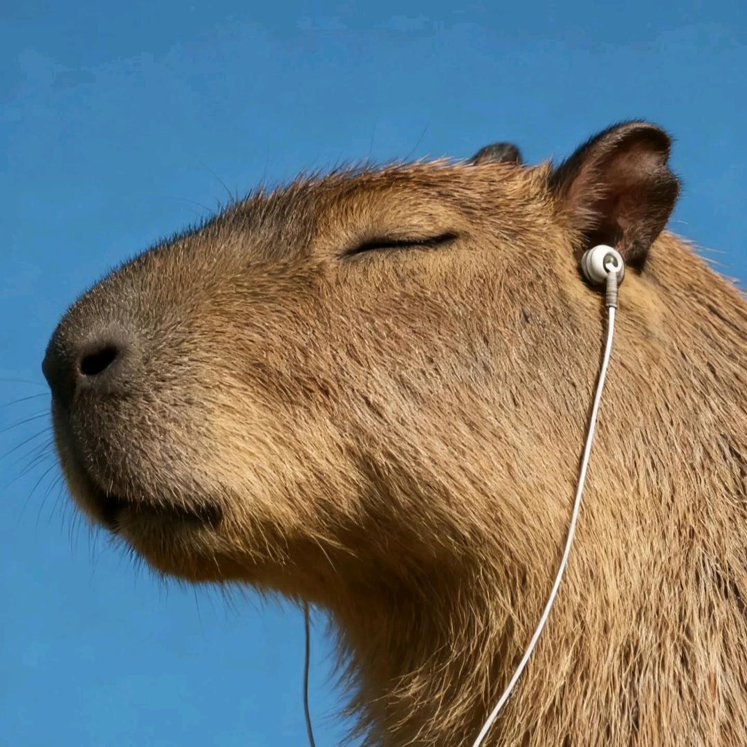 在牛马槽燃成舍利子