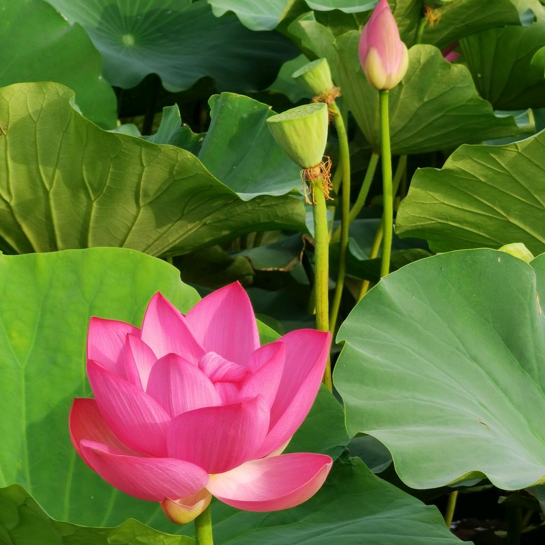 用心治好每一颗牙