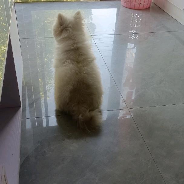 心静如水