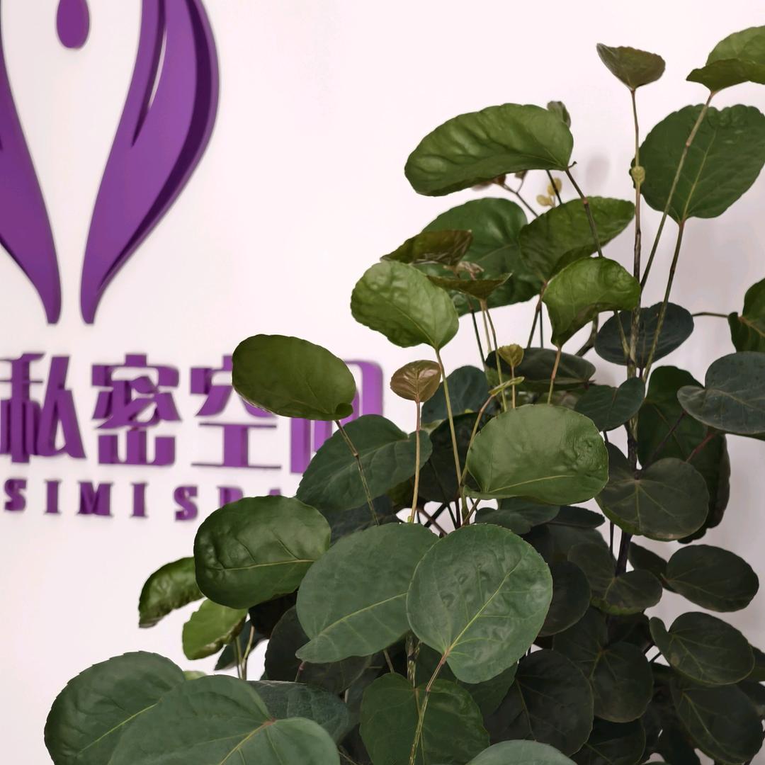 芋汐