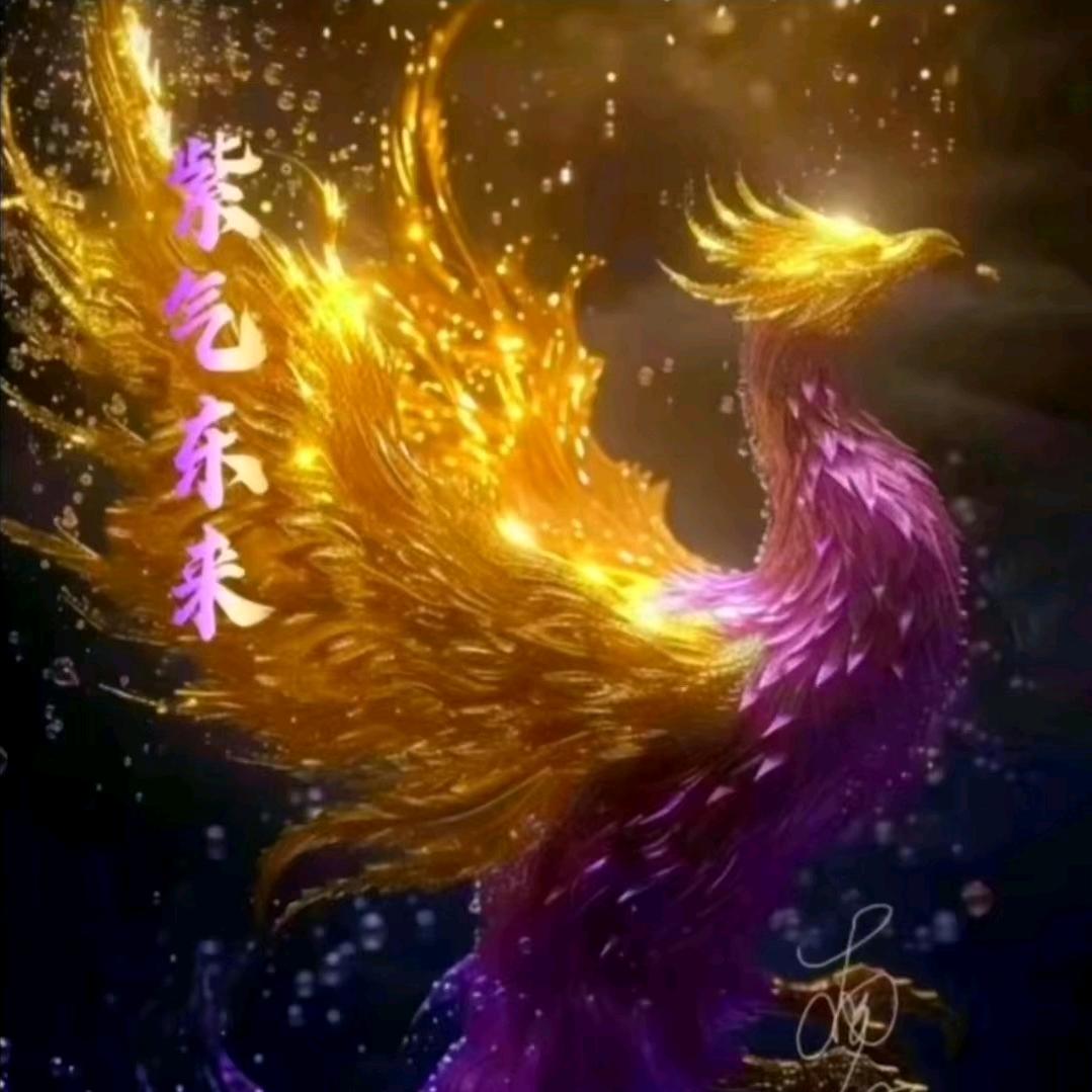 茗轩阁141319
