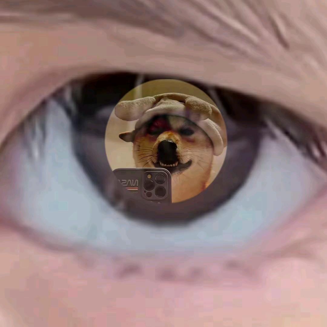 喲嘿