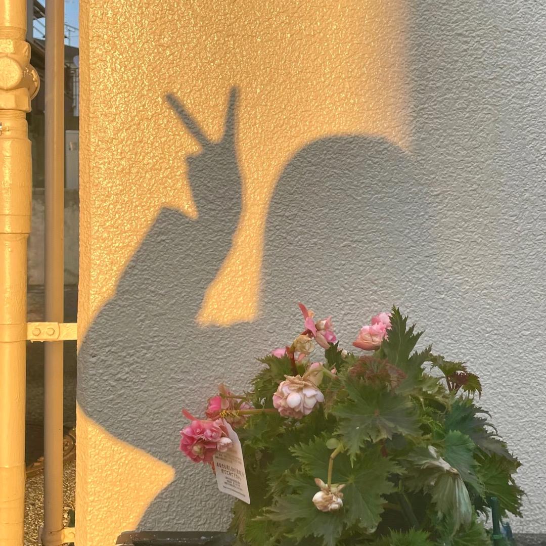林又溪