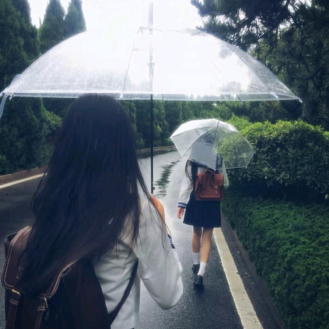 森林起雾了