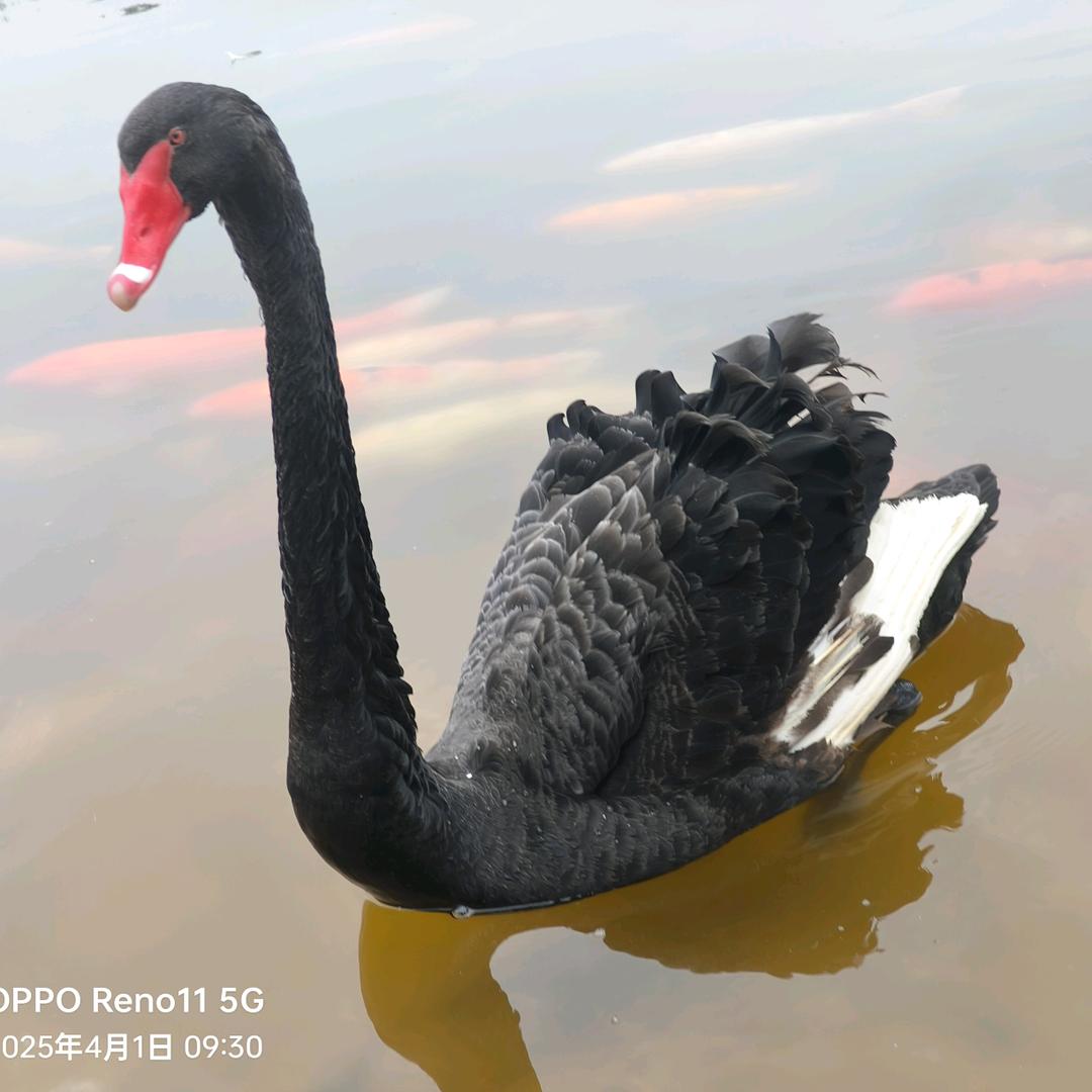 ོྂ: ོྂཾ࿆烈酒敬余生ོྂཾ࿆࿐