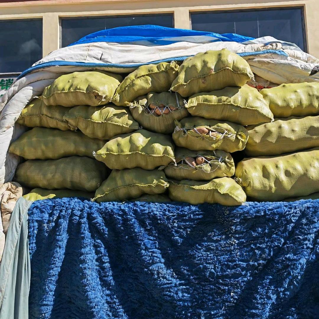 用户7618251250611