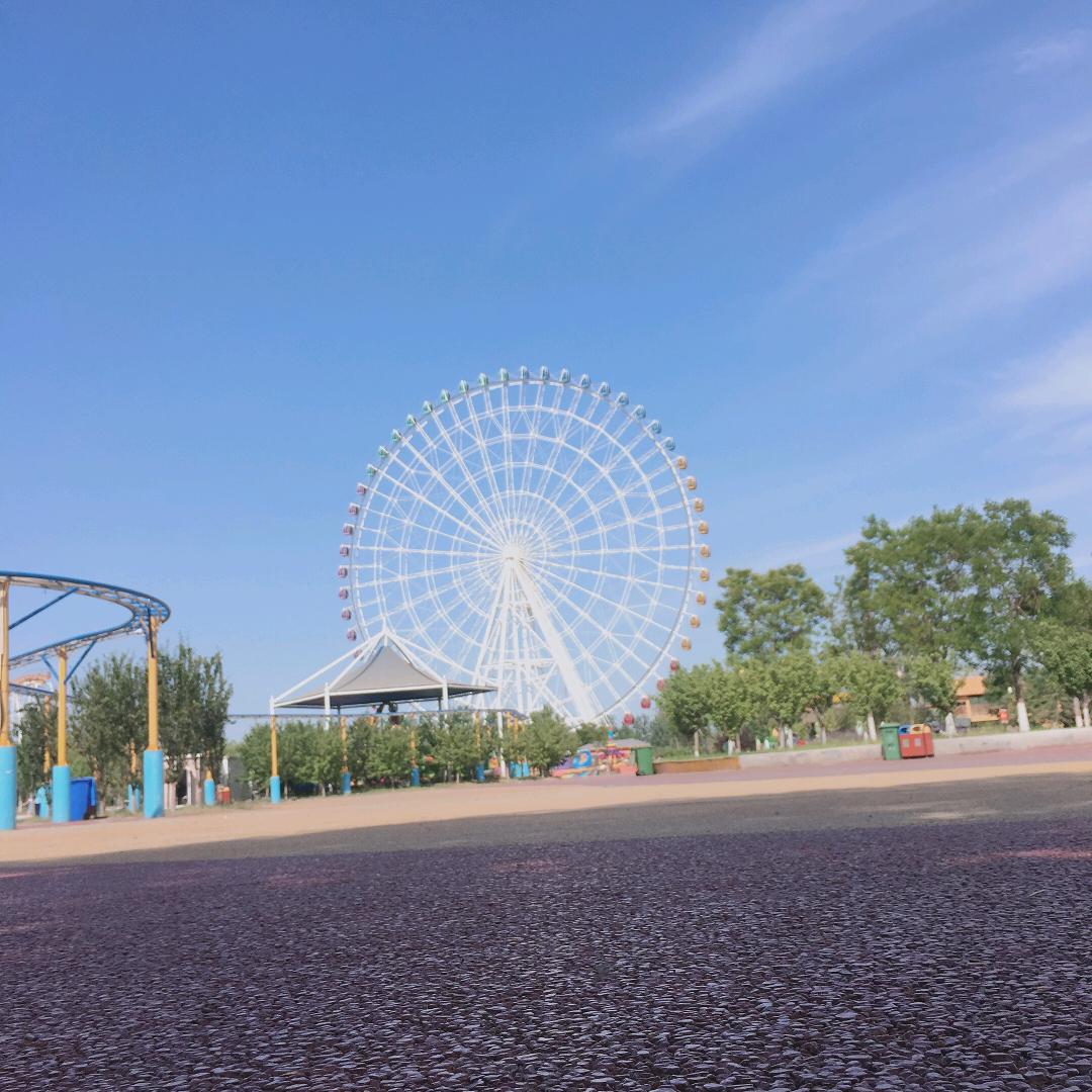 小陈的日常（减肥版）