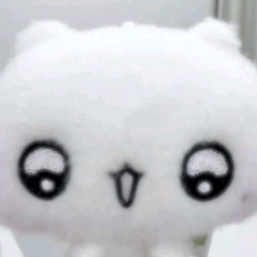 红咪