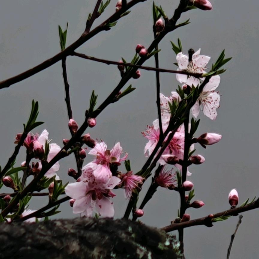 ꧁ஐ鎏❣️狸💓鹰🦅ஐ꧂