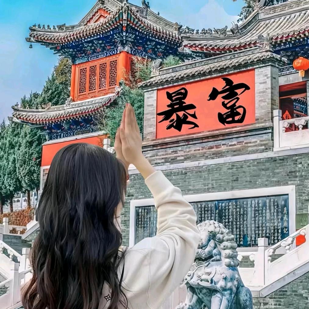 饲猫