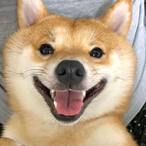 笑容哈哈