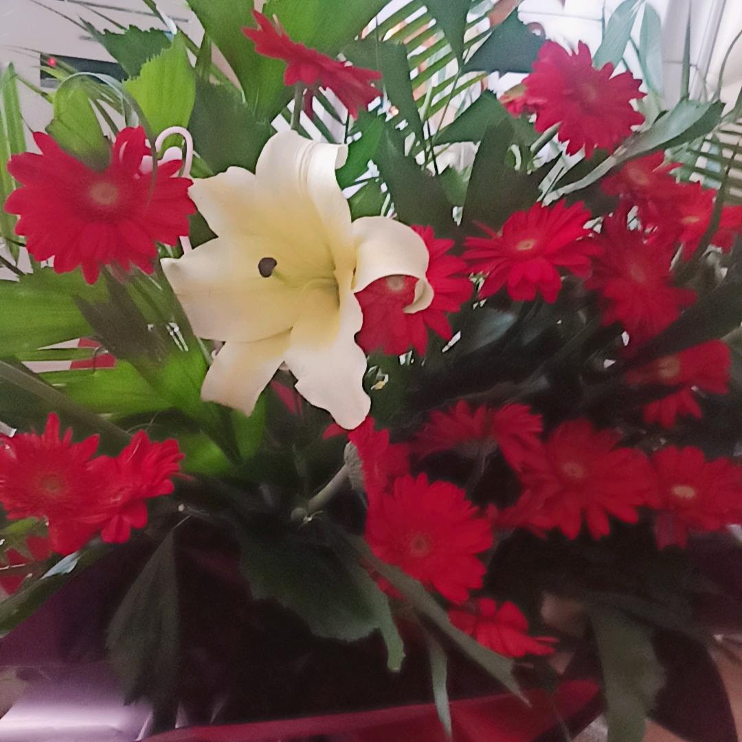 春开*冬至